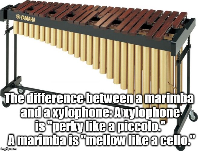 In case you were wondering... | The difference between a marimba and a xylophone: A xylophone is "perky like a piccolo."  A marimba is "mellow like a cello." | image tagged in instruments | made w/ Imgflip meme maker