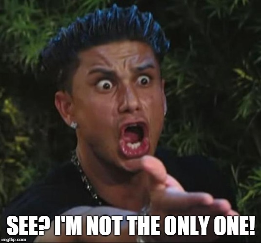 DJ Pauly D Meme | SEE? I'M NOT THE ONLY ONE! | image tagged in memes,dj pauly d | made w/ Imgflip meme maker