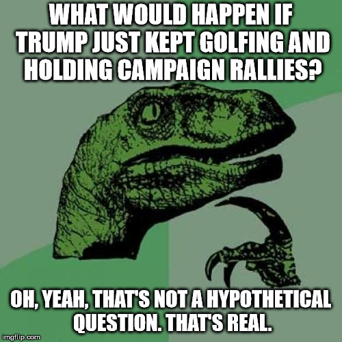 Philosoraptor Meme | WHAT WOULD HAPPEN IF TRUMP JUST KEPT GOLFING AND HOLDING CAMPAIGN RALLIES? OH, YEAH, THAT'S NOT A HYPOTHETICAL QUESTION. THAT'S REAL. | image tagged in memes,philosoraptor | made w/ Imgflip meme maker