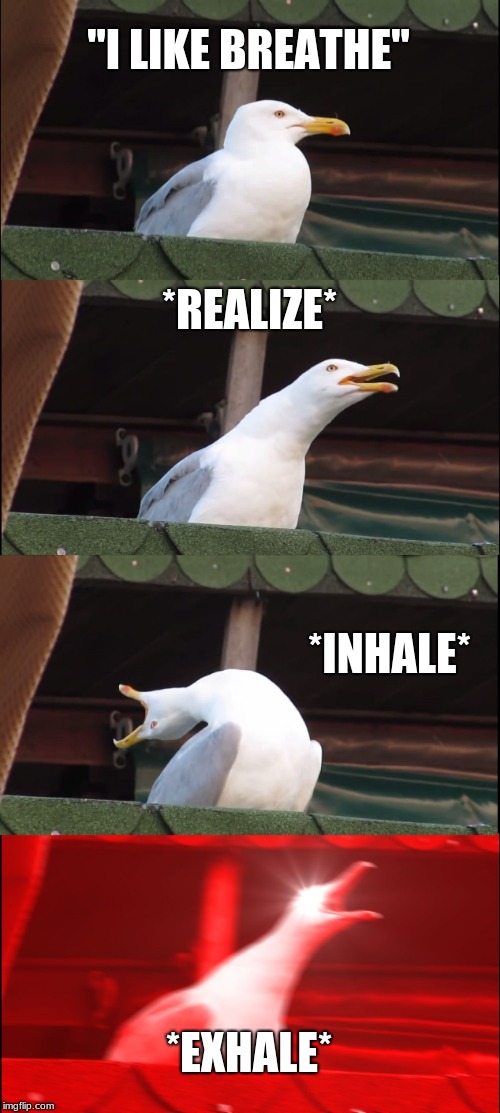 Inhaling Seagull | "I LIKE BREATHE"; *REALIZE*; *INHALE*; *EXHALE* | image tagged in memes,inhaling seagull | made w/ Imgflip meme maker