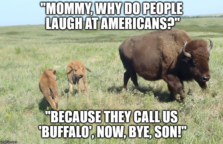 buffallo billy | "MOMMY, WHY DO PEOPLE LAUGH AT AMERICANS?" "BECAUSE THEY CALL US 'BUFFALO', NOW, BYE, SON!" | image tagged in buffallo billy | made w/ Imgflip meme maker