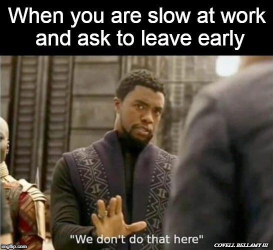 image tagged in black panther leave work | made w/ Imgflip meme maker