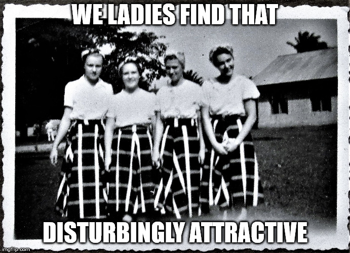 Bridesmaids for Hire! | WE LADIES FIND THAT DISTURBINGLY ATTRACTIVE | image tagged in bridesmaids for hire | made w/ Imgflip meme maker