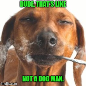 DUDE, THAT'S LIKE NOT A DOG MAN. | made w/ Imgflip meme maker