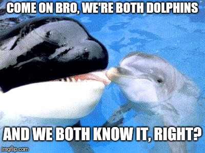 How taxonomy works | COME ON BRO, WE'RE BOTH DOLPHINS; AND WE BOTH KNOW IT, RIGHT? | image tagged in dolphin and whale | made w/ Imgflip meme maker