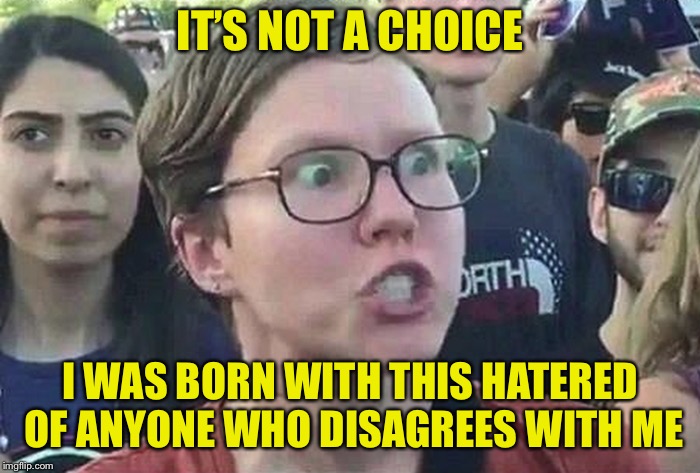 Triggered Liberal | IT’S NOT A CHOICE I WAS BORN WITH THIS HATERED OF ANYONE WHO DISAGREES WITH ME | image tagged in triggered liberal | made w/ Imgflip meme maker