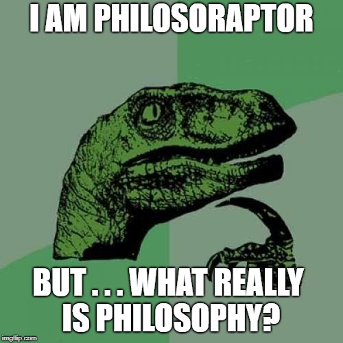 Philosoraptor Meme | I AM PHILOSORAPTOR; BUT . . . WHAT REALLY IS PHILOSOPHY? | image tagged in memes,philosoraptor | made w/ Imgflip meme maker