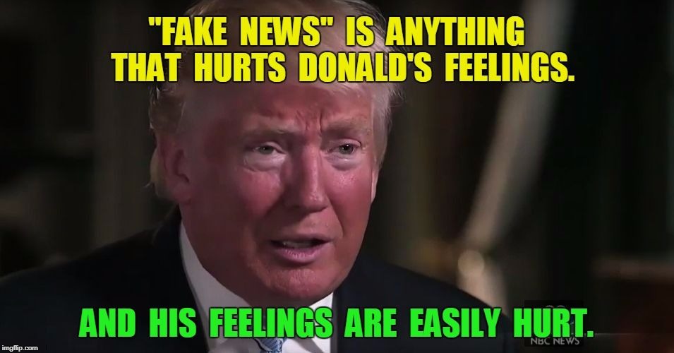 When Donald cries "Fake News," it's guaranteed true, but he doesn't want you to know. | image tagged in fake news,trump,feelings,hurt | made w/ Imgflip meme maker