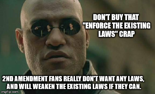 Matrix Morpheus Meme | DON'T BUY THAT "ENFORCE THE EXISTING LAWS" CRAP 2ND AMENDMENT FANS REALLY DON'T WANT ANY LAWS, AND WILL WEAKEN THE EXISTING LAWS IF THEY CAN | image tagged in memes,matrix morpheus | made w/ Imgflip meme maker