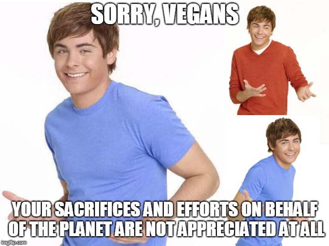 Zac Efron | SORRY, VEGANS; YOUR SACRIFICES AND EFFORTS ON BEHALF OF THE PLANET ARE NOT APPRECIATED AT ALL | image tagged in zac efron | made w/ Imgflip meme maker