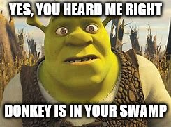 Those Shrek Memes | YES, YOU HEARD ME RIGHT; DONKEY IS IN YOUR SWAMP | image tagged in shrek,funny memes | made w/ Imgflip meme maker