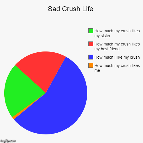 Sad Crush Life | How much my crush likes me, How much i like my crush, How much my crush likes my best friend, How much my crush likes my si | image tagged in funny,pie charts | made w/ Imgflip chart maker