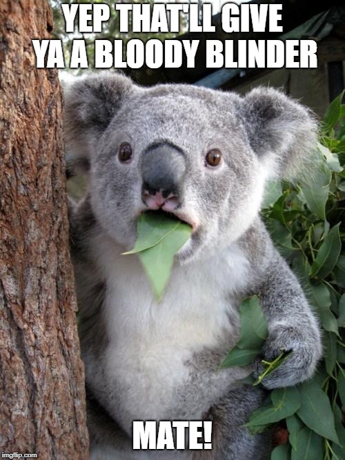 Surprised Koala Meme | YEP THAT'LL GIVE YA A BLOODY BLINDER MATE! | image tagged in memes,surprised koala | made w/ Imgflip meme maker