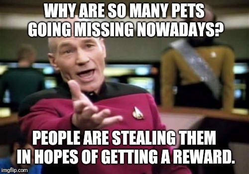 Picard Wtf |  WHY ARE SO MANY PETS GOING MISSING NOWADAYS? PEOPLE ARE STEALING THEM IN HOPES OF GETTING A REWARD. | image tagged in memes,picard wtf | made w/ Imgflip meme maker