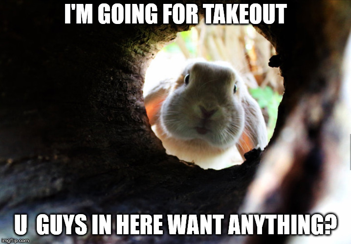 I'M GOING FOR TAKEOUT; U  GUYS IN HERE WANT ANYTHING? | made w/ Imgflip meme maker