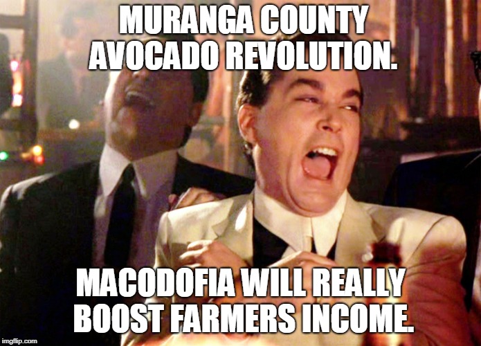 Good Fellas Hilarious Meme | MURANGA COUNTY AVOCADO REVOLUTION. MACODOFIA WILL REALLY BOOST FARMERS INCOME. | image tagged in memes,good fellas hilarious | made w/ Imgflip meme maker