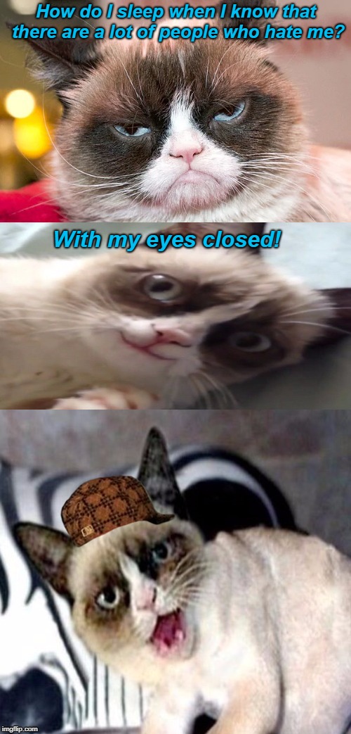 It works!  | How do I sleep when I know that there are a lot of people who hate me? With my eyes closed! | image tagged in bad pun grumpy cat,scumbag,haters gonna hate,grumpy cat | made w/ Imgflip meme maker