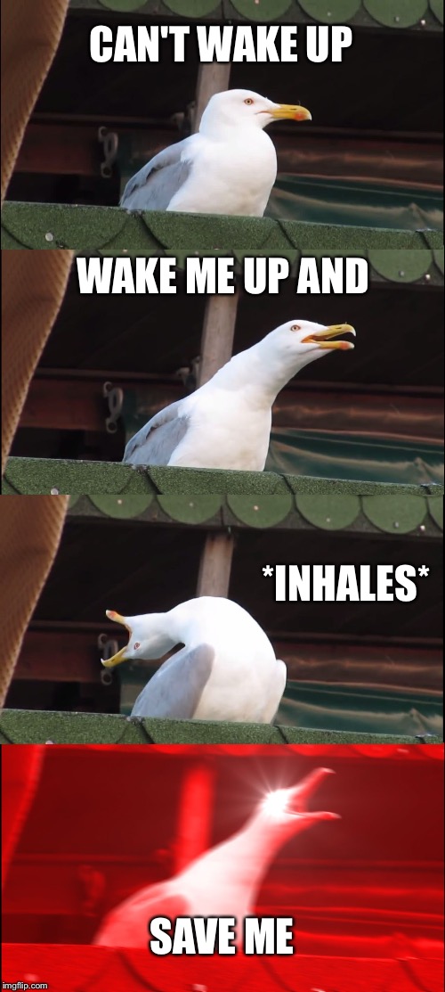 Inhaling Seagull Meme | CAN'T WAKE UP; WAKE ME UP AND; *INHALES*; SAVE ME | image tagged in memes,inhaling seagull | made w/ Imgflip meme maker
