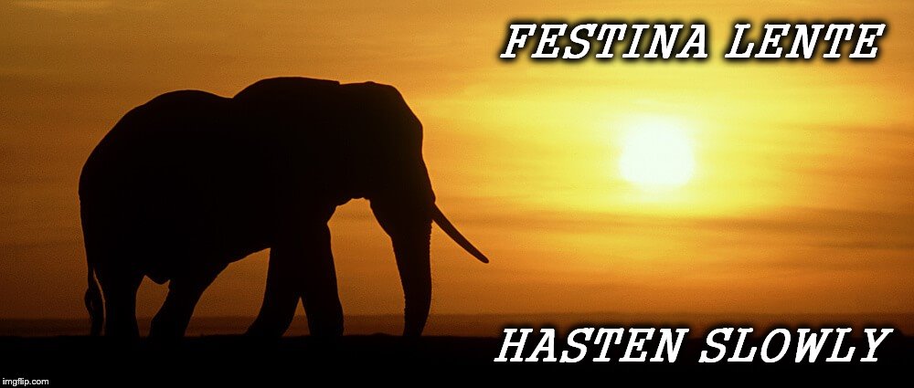 Hasten Slowly | FESTINA LENTE; HASTEN SLOWLY | image tagged in elephant | made w/ Imgflip meme maker