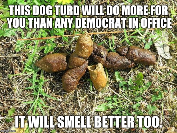 dog turd | THIS DOG TURD WILL DO MORE FOR YOU THAN ANY DEMOCRAT IN OFFICE; IT WILL SMELL BETTER TOO. | image tagged in dog turd | made w/ Imgflip meme maker