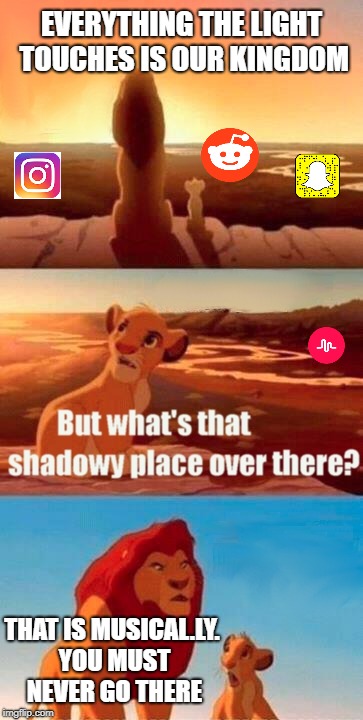 Simba Shadowy Place Meme | EVERYTHING THE LIGHT TOUCHES IS OUR KINGDOM; THAT IS MUSICAL.LY. YOU MUST NEVER GO THERE | image tagged in memes,simba shadowy place | made w/ Imgflip meme maker