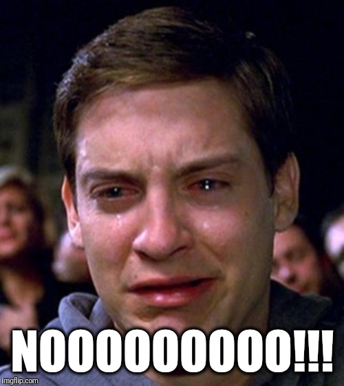 crying peter parker | NOOOOOOOOO!!! | image tagged in crying peter parker | made w/ Imgflip meme maker