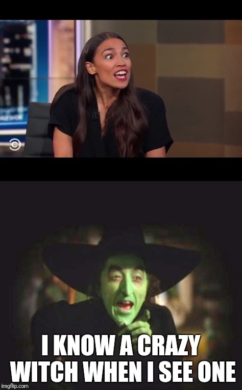  I KNOW A CRAZY WITCH WHEN I SEE ONE | image tagged in crazy eyes | made w/ Imgflip meme maker