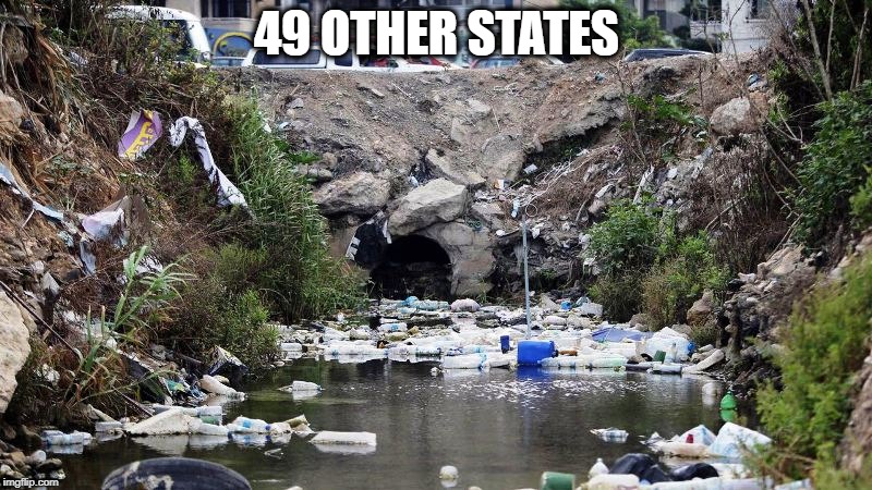 49 OTHER STATES | made w/ Imgflip meme maker