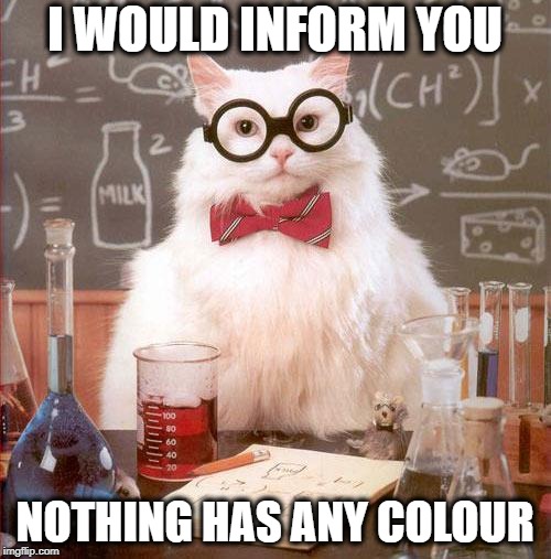 Science Cat | I WOULD INFORM YOU NOTHING HAS ANY COLOUR | image tagged in science cat | made w/ Imgflip meme maker