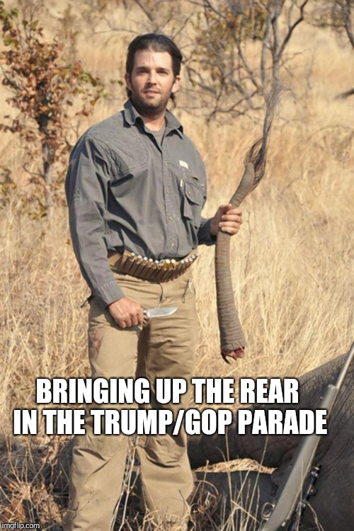 Daddy's Little Helper |  BRINGING UP THE REAR IN THE TRUMP/GOP PARADE | image tagged in donald trump jr,gop hypocrite,traitor,impeach trump | made w/ Imgflip meme maker