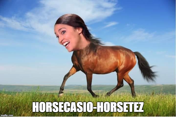 When socialism has done it's job and all we have to eat is grass....... | HORSECASIO-HORSETEZ | image tagged in communist socialist,democratic socialism,college liberal | made w/ Imgflip meme maker