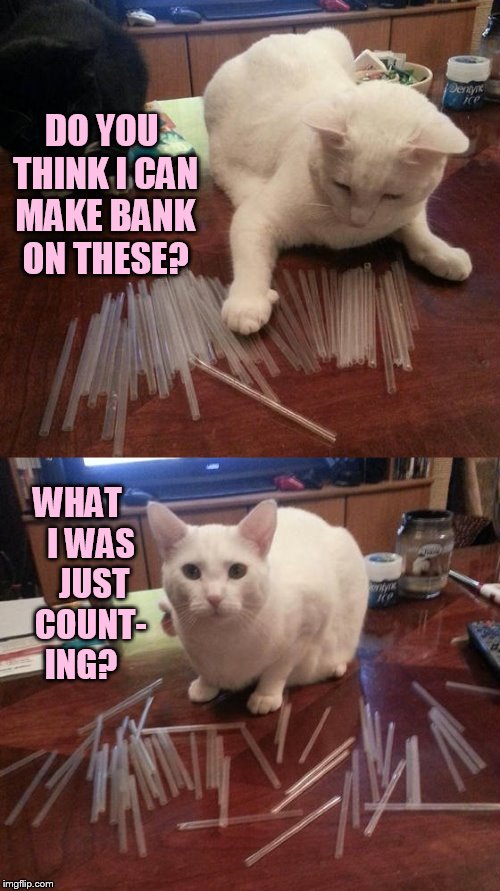The Straw Racket | DO YOU THINK I CAN MAKE BANK ON THESE? WHAT    I WAS     JUST    COUNT- ING? | image tagged in memes,cat,straws,make money,counting | made w/ Imgflip meme maker