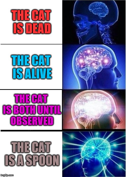 How the cat is? | THE CAT IS DEAD; THE CAT IS ALIVE; THE CAT IS BOTH UNTIL OBSERVED; THE CAT IS A SPOON | image tagged in memes,expanding brain,funny,cats,spoon,for i am the cat | made w/ Imgflip meme maker