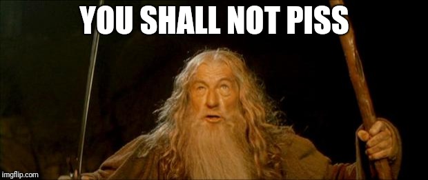 gandalf you shall not pass | YOU SHALL NOT PISS | image tagged in gandalf you shall not pass | made w/ Imgflip meme maker