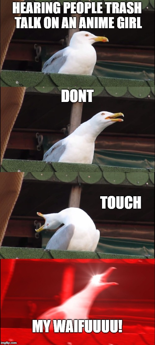 Inhaling Seagull Meme | HEARING PEOPLE TRASH TALK ON AN ANIME GIRL; DONT; TOUCH; MY WAIFUUUU! | image tagged in memes,inhaling seagull | made w/ Imgflip meme maker