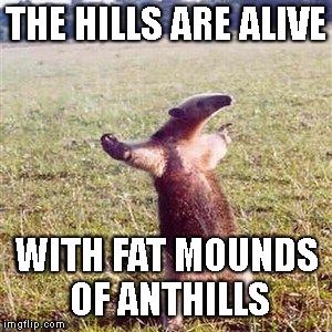 Ant-eater | THE HILLS ARE ALIVE WITH FAT MOUNDS OF ANTHILLS | image tagged in ant-eater | made w/ Imgflip meme maker