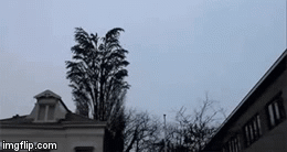 BOOM! | image tagged in gifs | made w/ Imgflip video-to-gif maker