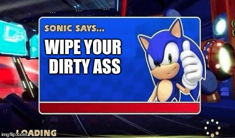 Sonic Says | WIPE YOUR DIRTY ASS | image tagged in sonic says | made w/ Imgflip meme maker