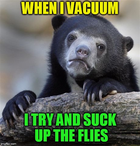 Confession Bear Meme | WHEN I VACUUM I TRY AND SUCK UP THE FLIES | image tagged in memes,confession bear | made w/ Imgflip meme maker