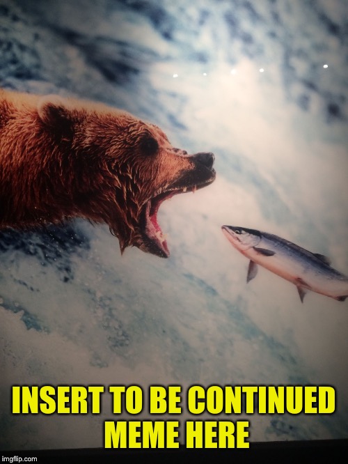 INSERT TO BE CONTINUED MEME HERE | image tagged in bear/v/salmon | made w/ Imgflip meme maker