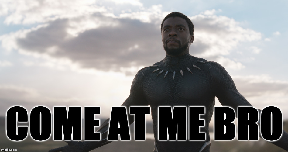 Black Panther Spotlight | COME AT ME BRO | image tagged in black panther spotlight | made w/ Imgflip meme maker