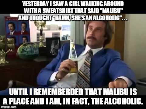 Well That Escalated Quickly Meme | YESTERDAY I SAW A GIRL WALKING AROUND WITH A SWEATSHIRT THAT SAID "MALIBU" AND THOUGHT "DAMN, SHE'S AN ALCOHOLIC". . . UNTIL I REMEMBERDED THAT MALIBU IS A PLACE AND I AM, IN FACT, THE ALCOHOLIC. | image tagged in memes,well that escalated quickly | made w/ Imgflip meme maker