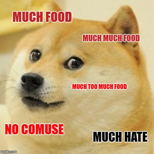 Doge | MUCH FOOD; MUCH MUCH FOOD; MUCH TOO MUCH FOOD; NO COMUSE; MUCH HATE | image tagged in memes,doge | made w/ Imgflip meme maker