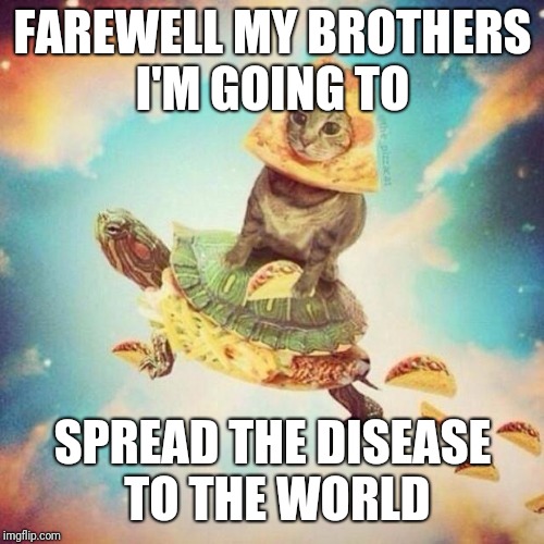 FAREWELL MY BROTHERS I'M GOING TO SPREAD THE DISEASE TO THE WORLD | image tagged in space pizza cat turtle tacos | made w/ Imgflip meme maker