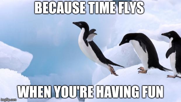 flying penguin | BECAUSE TIME FLYS WHEN YOU'RE HAVING FUN | image tagged in flying penguin | made w/ Imgflip meme maker