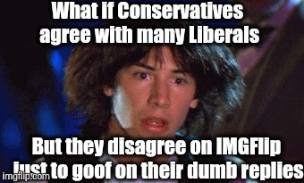 Highly unlikely, but who knows for sure? | What if Conservatives agree with many Liberals; But they disagree on IMGFlip just to goof on their dumb replies | image tagged in bill and ted | made w/ Imgflip meme maker