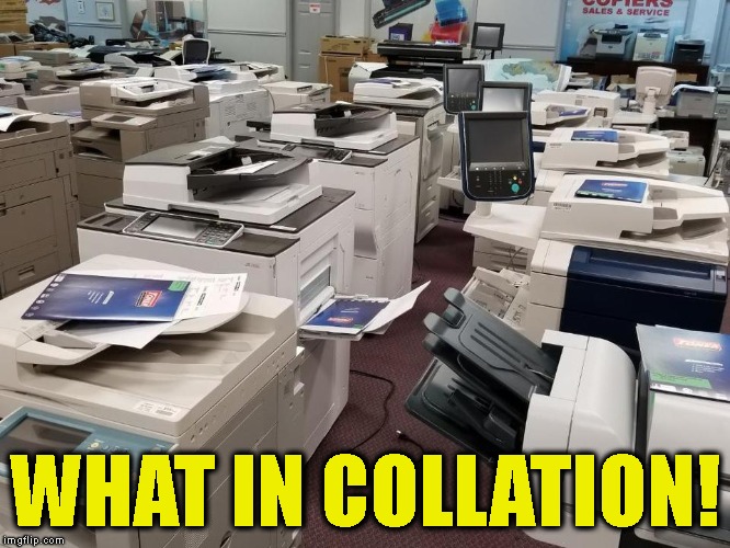 WHAT IN COLLATION! | made w/ Imgflip meme maker