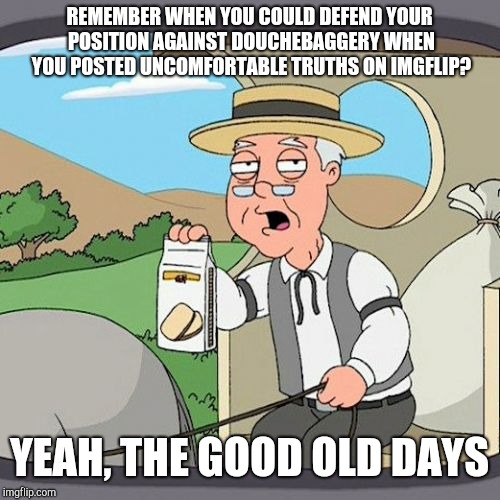 Pepperidge Farm Remembers Meme | REMEMBER WHEN YOU COULD DEFEND YOUR POSITION AGAINST DOUCHEBAGGERY WHEN YOU POSTED UNCOMFORTABLE TRUTHS ON IMGFLIP? YEAH, THE GOOD OLD DAYS | image tagged in memes,pepperidge farm remembers | made w/ Imgflip meme maker