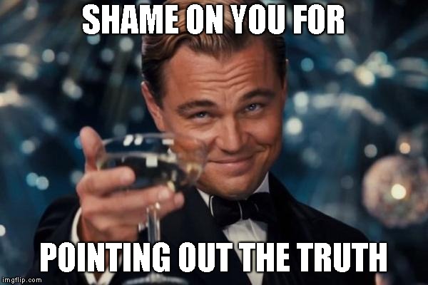 Leonardo Dicaprio Cheers Meme | SHAME ON YOU FOR POINTING OUT THE TRUTH | image tagged in memes,leonardo dicaprio cheers | made w/ Imgflip meme maker