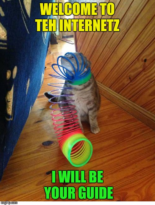 Just jump in the Internet wormhole and follow the cat | WELCOME TO TEH INTERNETZ; I WILL BE YOUR GUIDE | image tagged in memes,cat,cats,internet guide,wormhole | made w/ Imgflip meme maker